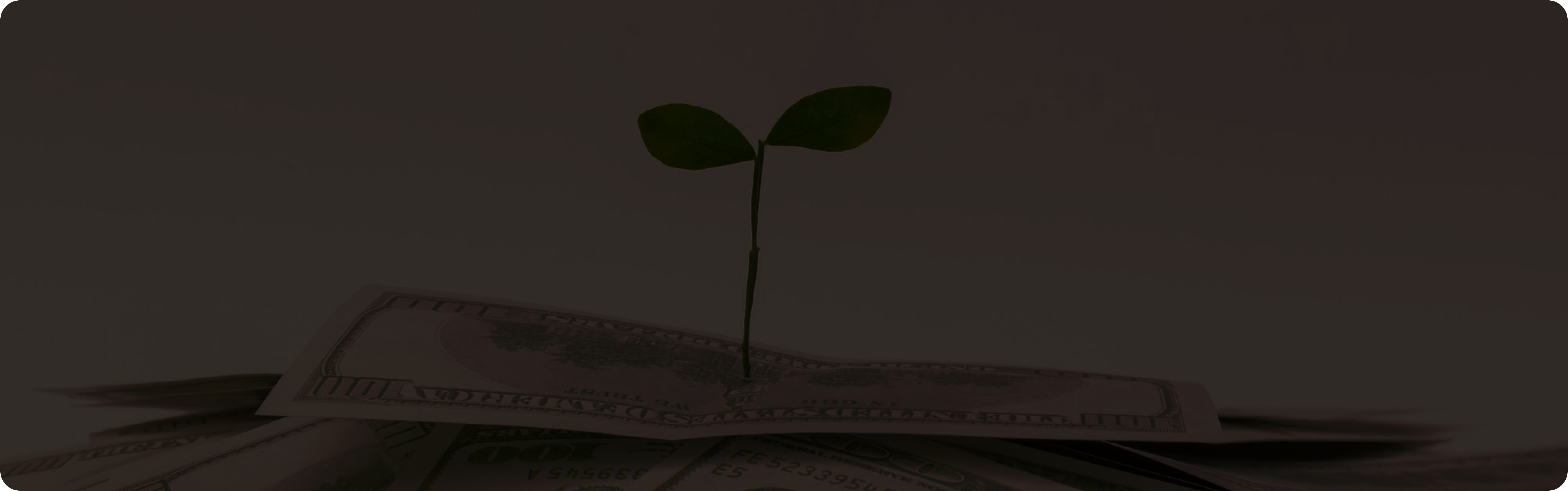 Banking and Finance